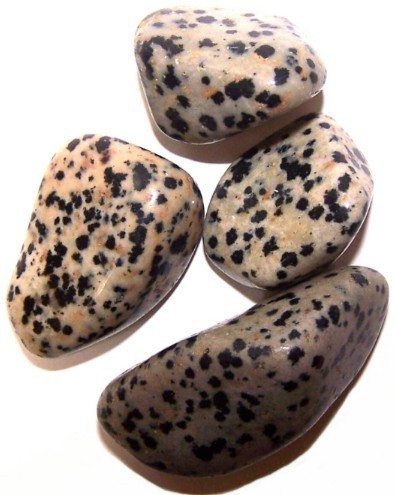 (imagem de) Pedras Preciosas - Dalmata