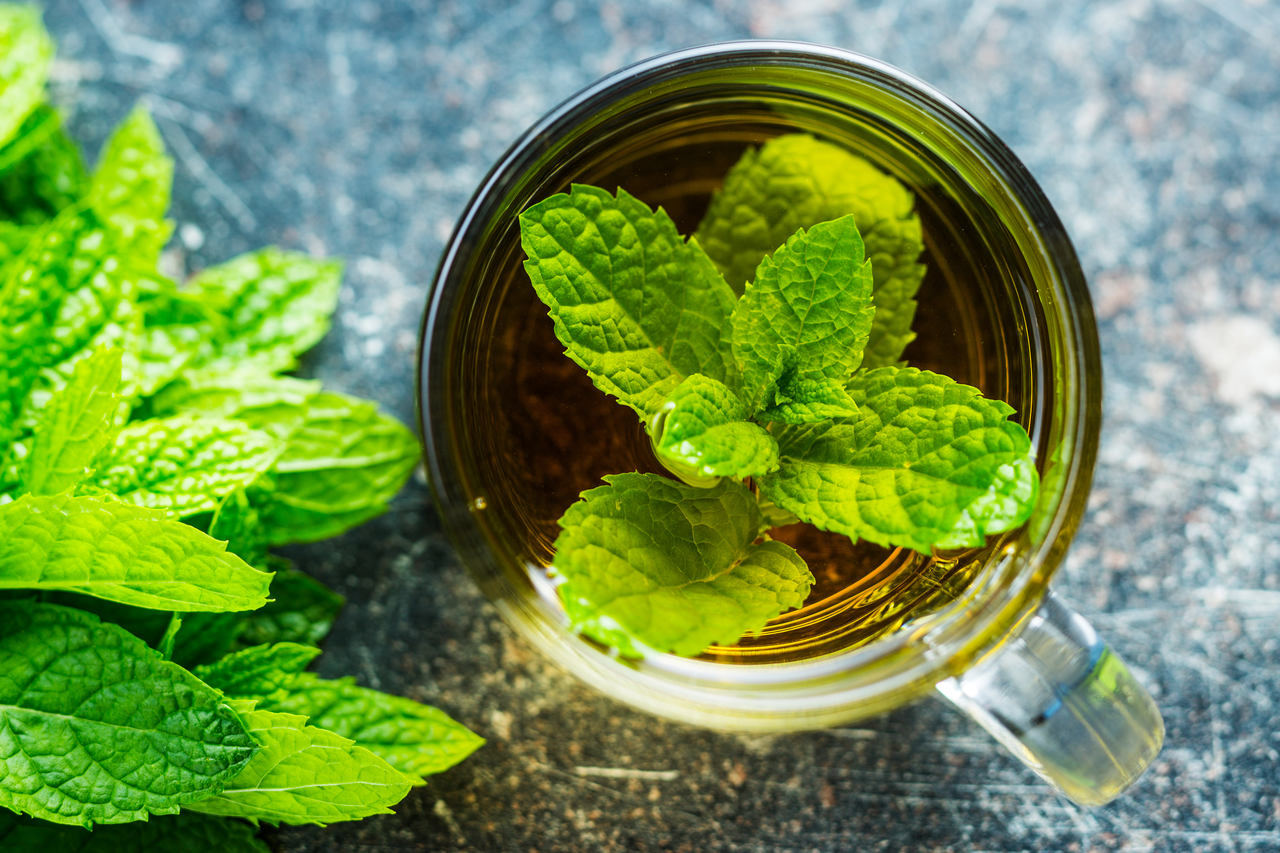 Uma chávena de chá fumegante rodeada de ervas como camomila, hortelã e hibisco.
